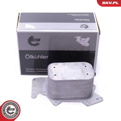 ESEN SKV &Ouml;lk&uuml;hler, Motor&ouml;l 31SKV213