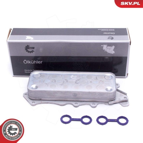ESEN SKV &Ouml;lk&uuml;hler, Motor&ouml;l 31SKV217