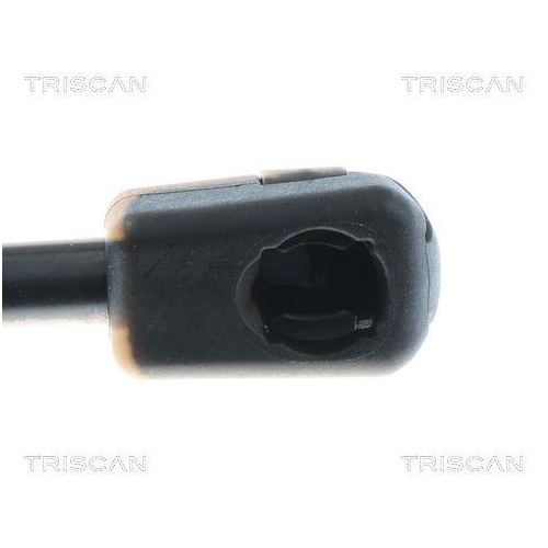 TRISCAN Gasfeder, Koffer-/Laderaum 8710 27311