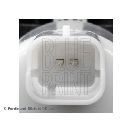 BLUE PRINT Waschwasserpumpe, Scheibenreinigung ADN10312