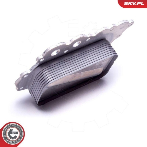 ESEN SKV &Ouml;lk&uuml;hler, Motor&ouml;l 31SKV218