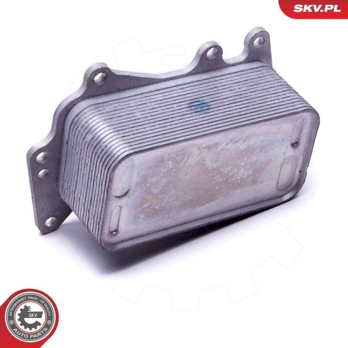 ESEN SKV &Ouml;lk&uuml;hler, Motor&ouml;l 31SKV222