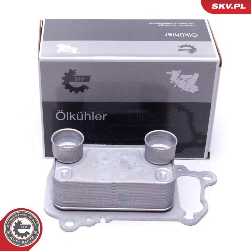 ESEN SKV &Ouml;lk&uuml;hler, Motor&ouml;l 31SKV225