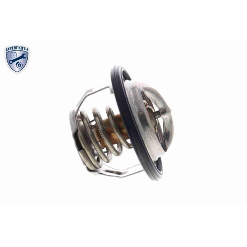 ACKOJA Thermostat, K&uuml;hlmittel EXPERT KITS + A63-99-0004