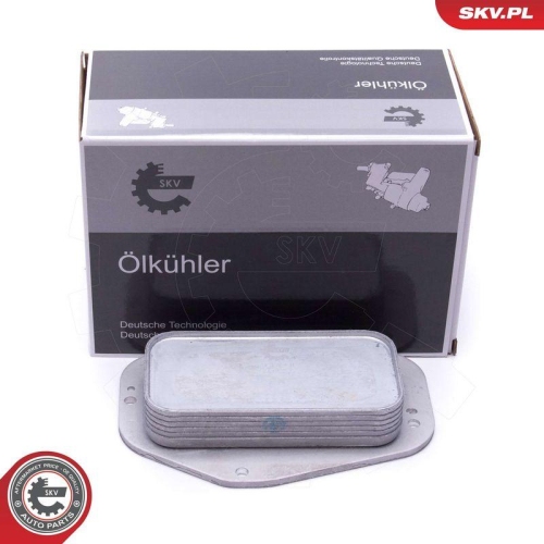 ESEN SKV &Ouml;lk&uuml;hler, Motor&ouml;l 31SKV231