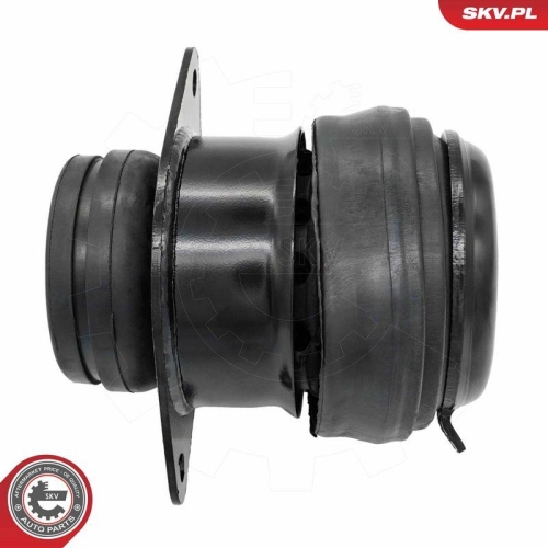 ESEN SKV Lagerung, Motor 75SKV241