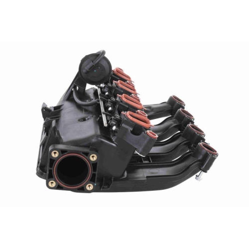 VAICO Saugrohrmodul Original VAICO Qualität V20-3657