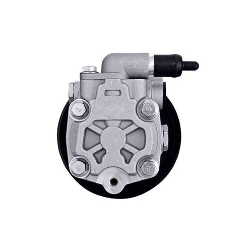 HELLA Hydraulikpumpe, Lenkung 8TL 359 003-111