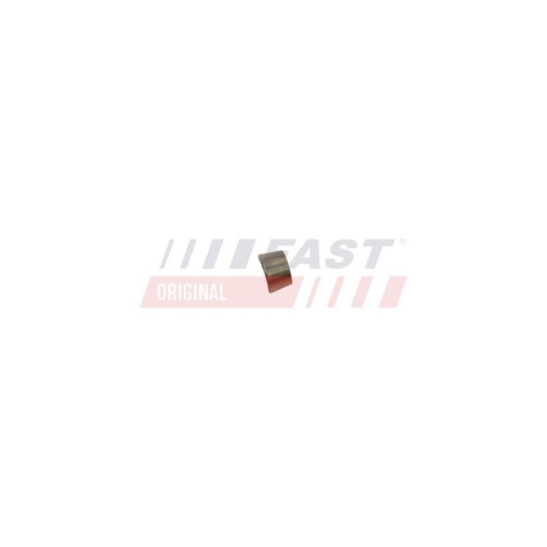 FAST Ventilkeil FT43801