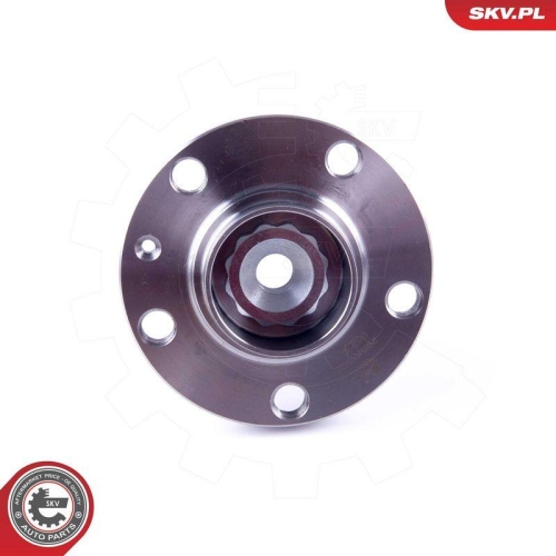 ESEN SKV Radlagersatz 29SKV299