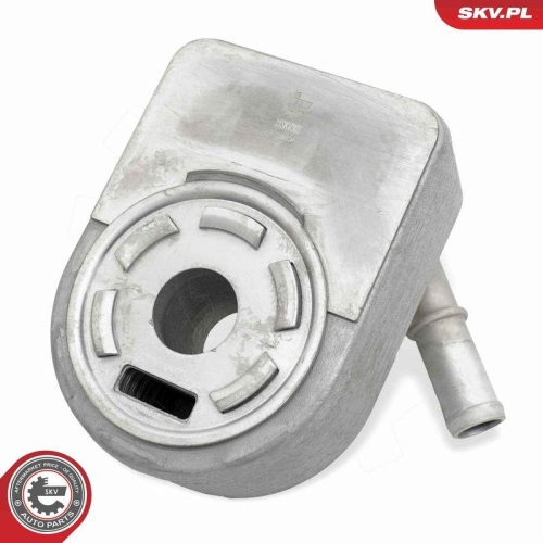 ESEN SKV &Ouml;lk&uuml;hler, Motor&ouml;l 31SKV303