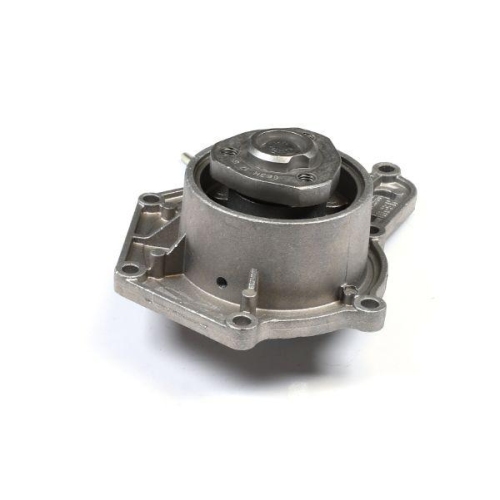 HEPU Wasserpumpe, Motork&uuml;hlung P663M