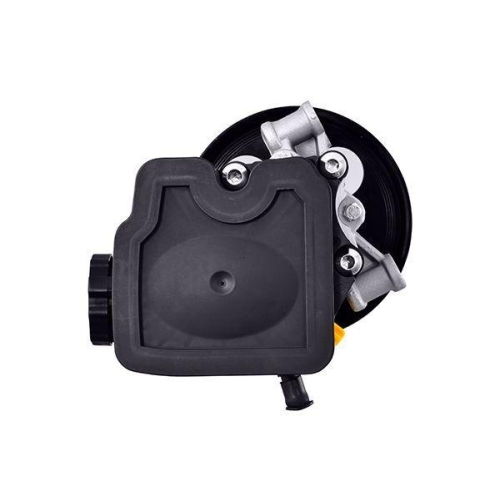 HELLA Hydraulikpumpe, Lenkung 8TL 359 003-131