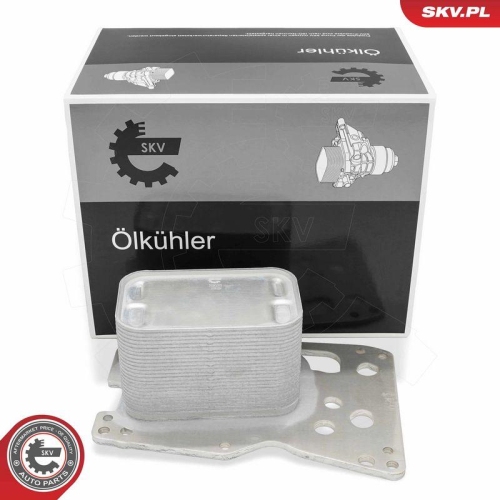ESEN SKV &Ouml;lk&uuml;hler, Motor&ouml;l 31SKV378