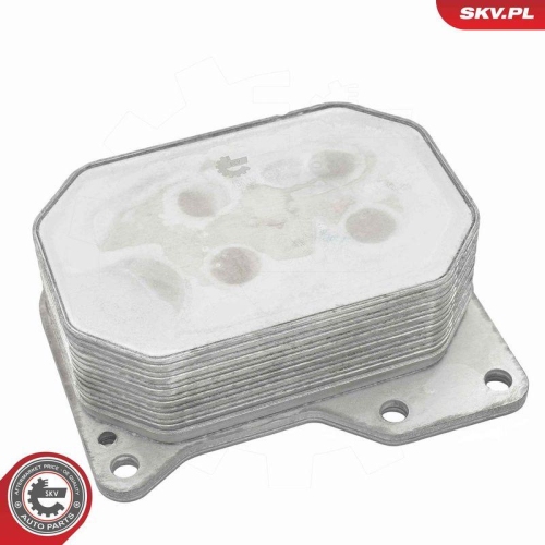 ESEN SKV &Ouml;lk&uuml;hler, Motor&ouml;l 31SKV383