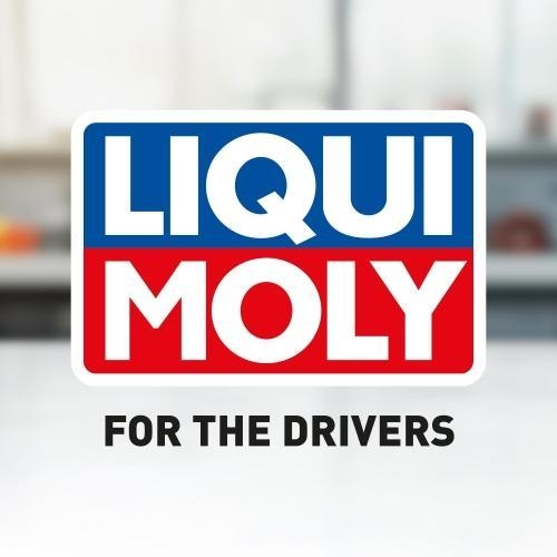 LIQUI MOLY Klingensatz, Schaber Klingen f&uuml;r Falzschaber 6250 - 16mm (10 St&uuml;ck)