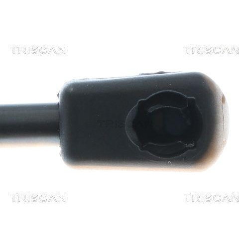 TRISCAN Gasfeder, Koffer-/Laderaum 8710 43309