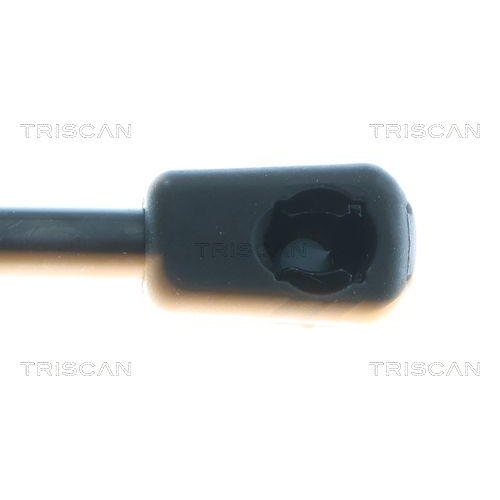 TRISCAN Gasfeder, Koffer-/Laderaum 8710 43310