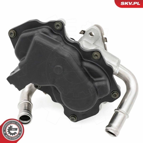 ESEN SKV AGR-Ventil 14SKV278