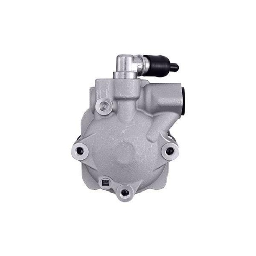 HELLA Hydraulikpumpe, Lenkung 8TL 359 003-201