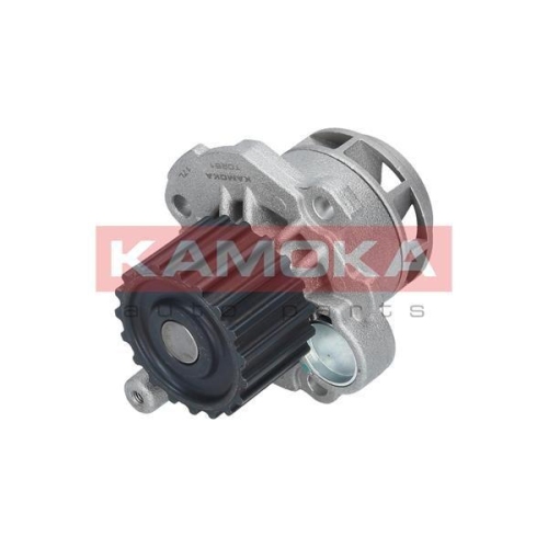 KAMOKA Wasserpumpe, Motorkühlung T0251