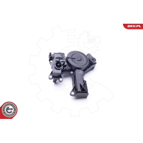 ESEN SKV Reparatursatz, Kurbelgehäuseentlüftung