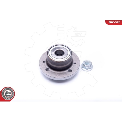 ESEN SKV Radlagersatz 29SKV196