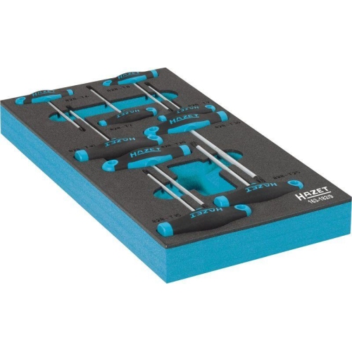 HAZET Schraubendreher Satz T-Griff Innen Torx 9-teilig T6-T30 163-182/9