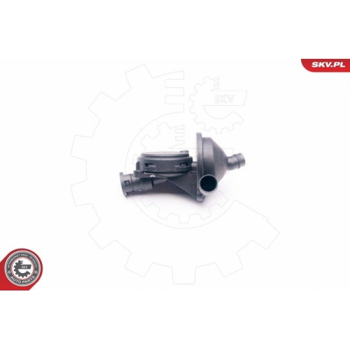 ESEN SKV Reparatursatz, Kurbelgehäuseentlüftung