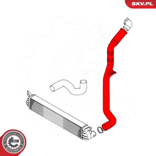 ESEN SKV Ladeluftschlauch 43SKV353