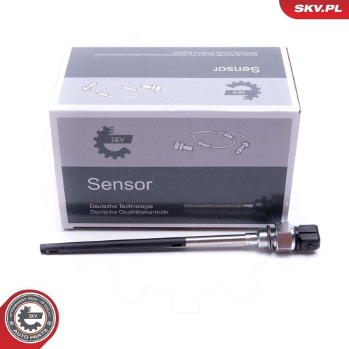 ESEN SKV Sensor, Motor&ouml;lstand 17SKV741
