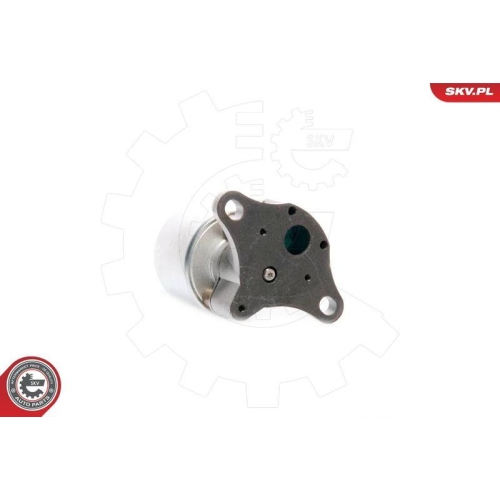 ESEN SKV AGR-Ventil