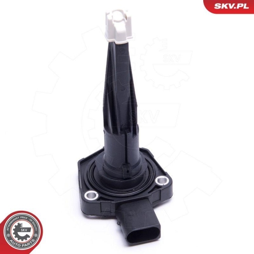 ESEN SKV Sensor, Motor&ouml;lstand 17SKV762