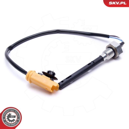 ESEN SKV Sensor, Motor&ouml;lstand 17SKV766