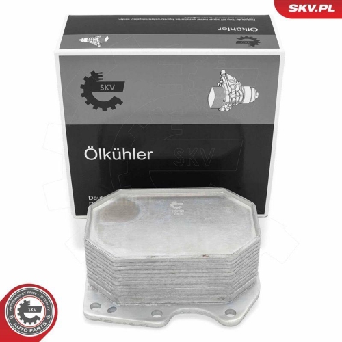 ESEN SKV &Ouml;lk&uuml;hler, Motor&ouml;l 31SKV320