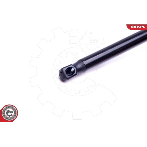 ESEN SKV Gasfeder, Koffer-/Laderaum