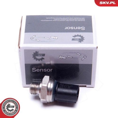 ESEN SKV Sensor, Abgasdruck 17SKV778