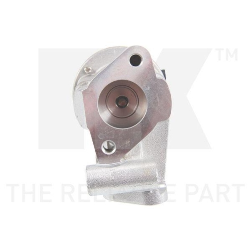 NK AGR-Ventil 4599033