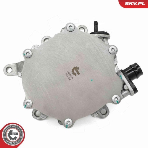 ESEN SKV Unterdruckpumpe, Bremsanlage