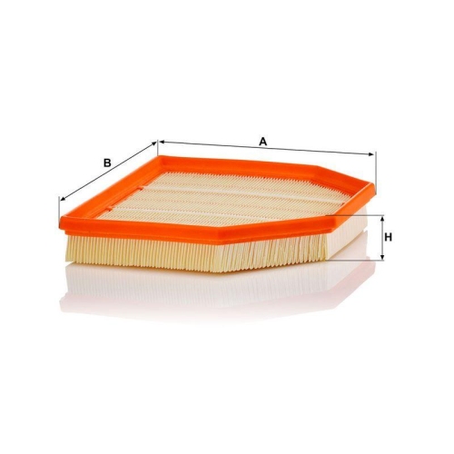 MANN-FILTER Luftfilter C 24 243