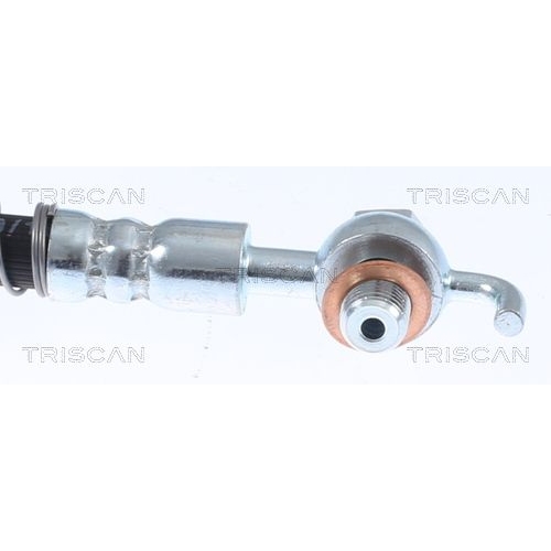 TRISCAN Bremsschlauch 8150 28258
