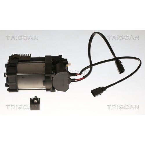 TRISCAN Kompressor, Druckluftanlage