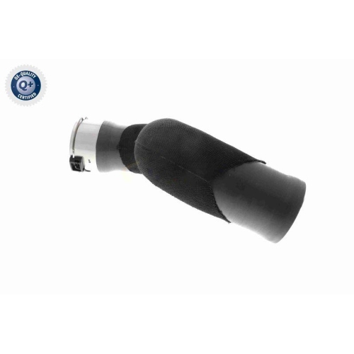 VAICO Ladeluftschlauch Q+, Erstausrüsterqualität