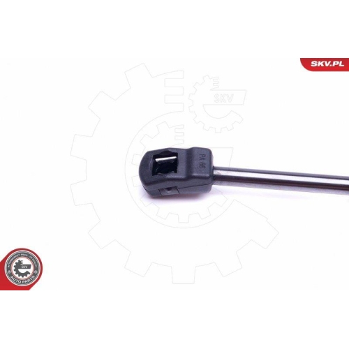 ESEN SKV Gasfeder, Koffer-/Laderaum