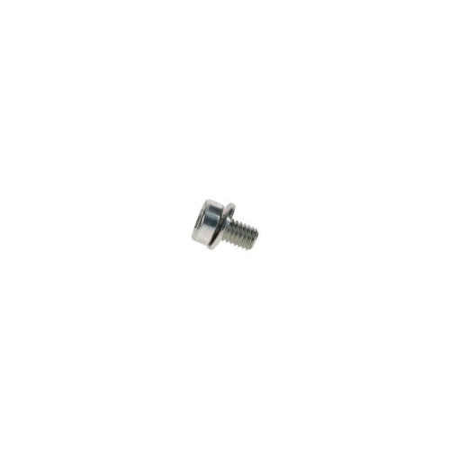 BOSCH Schraube F 002 D13 663