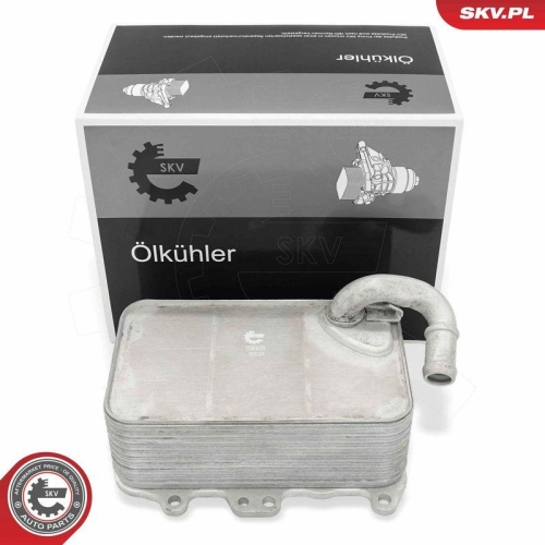 ESEN SKV &Ouml;lk&uuml;hler, Motor&ouml;l 31SKV359