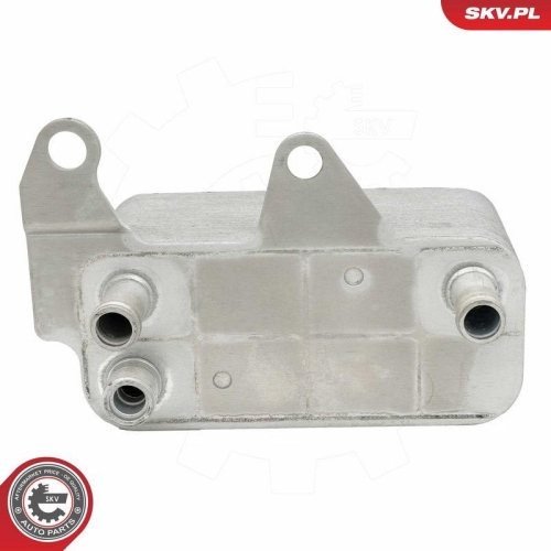 ESEN SKV &Ouml;lk&uuml;hler, Motor&ouml;l 31SKV363