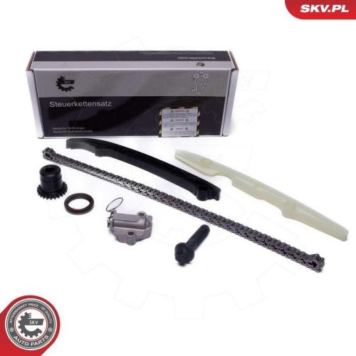 ESEN SKV Steuerkettensatz 21SKV262