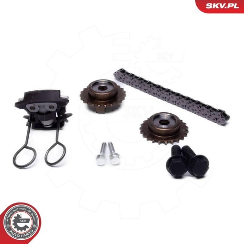 ESEN SKV Steuerkettensatz 21SKV255