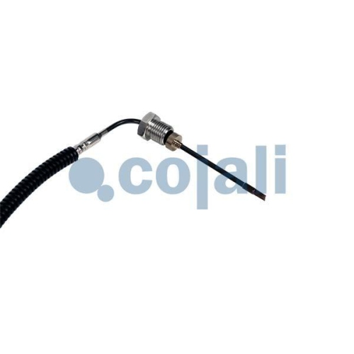 COJALI Sensor, Abgastemperatur 2260884